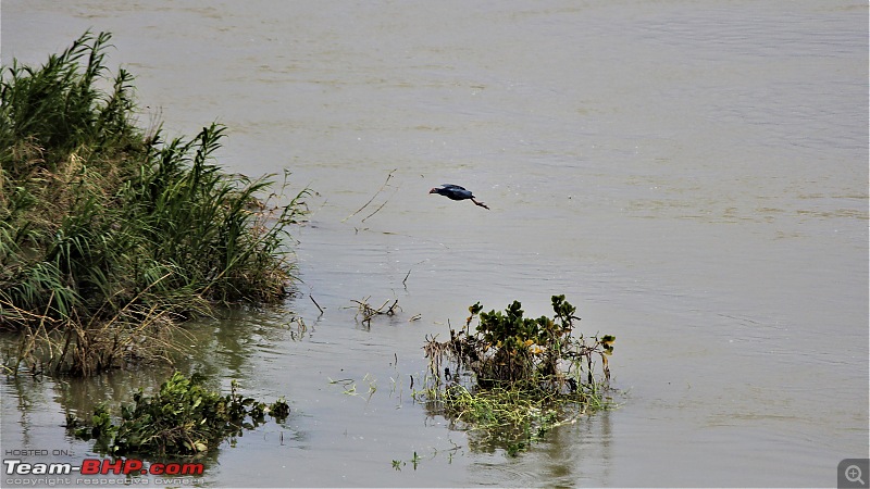 A Nature's Trail in Hampi-img_4662.jpg