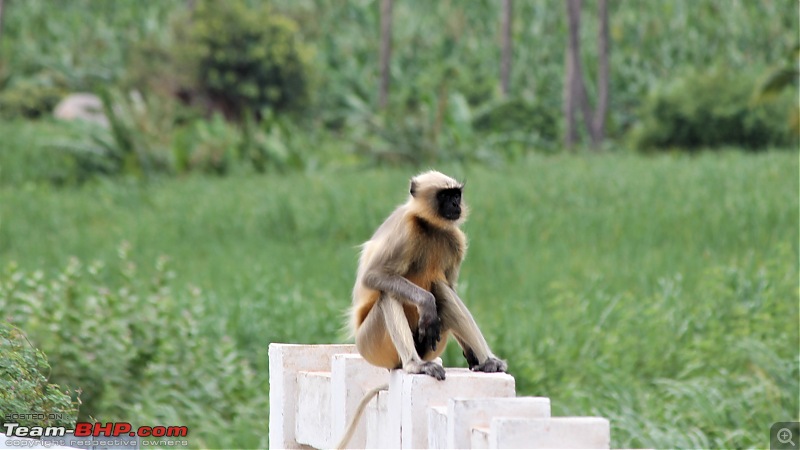 A Nature's Trail in Hampi-img_4658.jpg