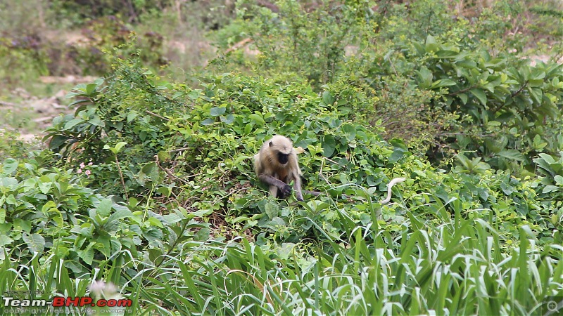 A Nature's Trail in Hampi-img_4650.jpg