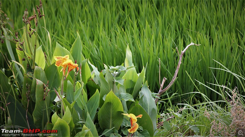 A Nature's Trail in Hampi-img_4771.jpg