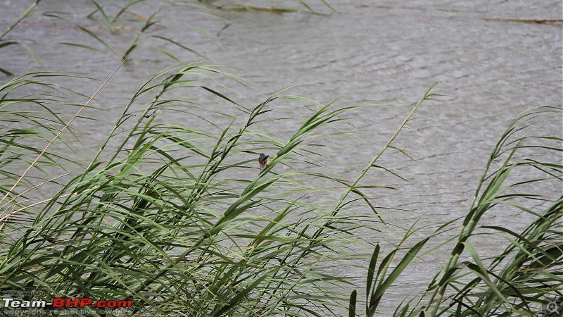 A Nature's Trail in Hampi-img_4758.jpg