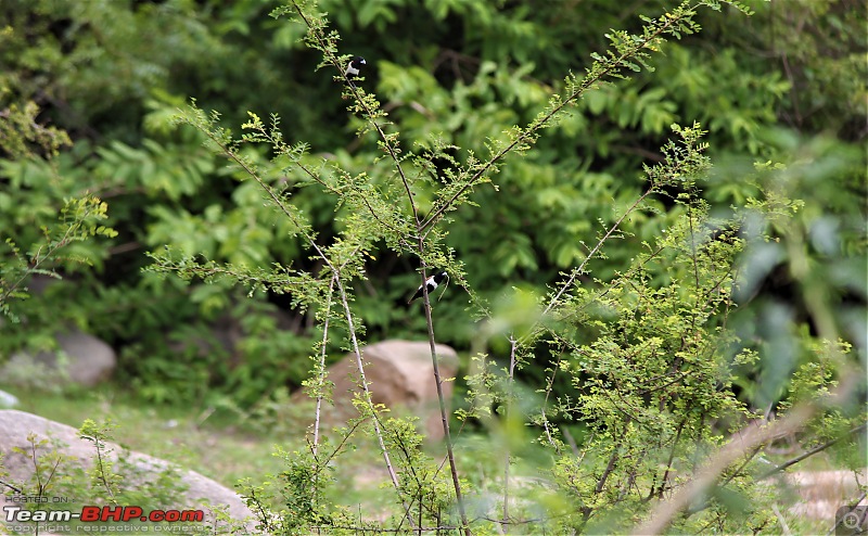 A Nature's Trail in Hampi-img_4801.jpg