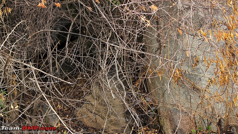 A Nature's Trail in Hampi-img_4796.jpg