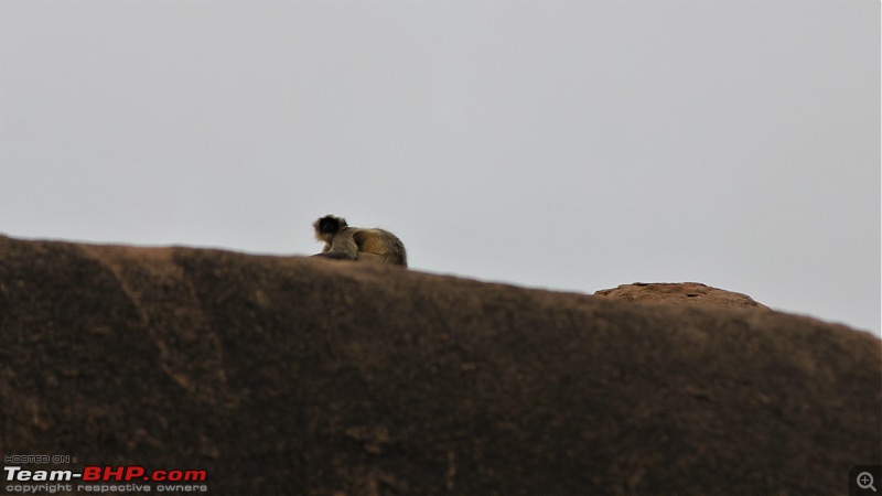 A Nature's Trail in Hampi-img_4786.jpg