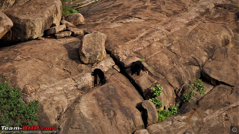 A Nature's Trail in Hampi-img_4947.jpg