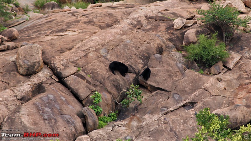 A Nature's Trail in Hampi-img_4854.jpg