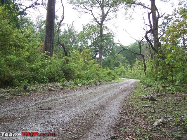 Grand Vitara - Offroading in exotic places-100_1552.jpg