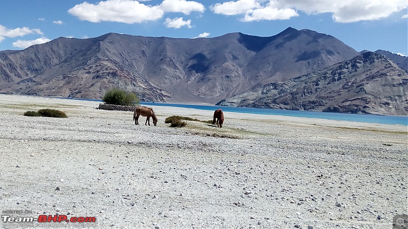 My dream journey to heaven : An epic trip to Ladakh & Kaza-img_20180613_093916.jpg