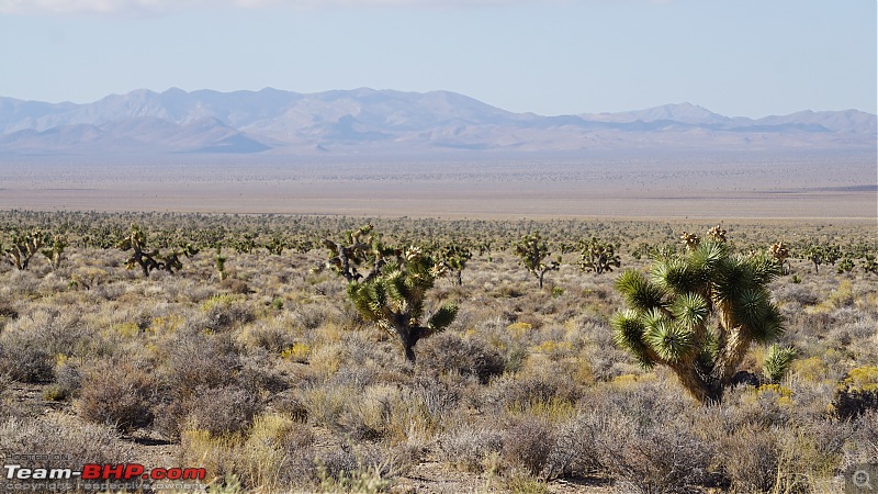 America, the beautiful : A 10,000 mile road-trip with my parents-8.jpg