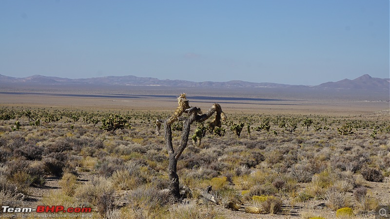 America, the beautiful : A 10,000 mile road-trip with my parents-9.jpg