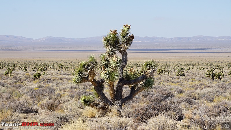 America, the beautiful : A 10,000 mile road-trip with my parents-11.jpg