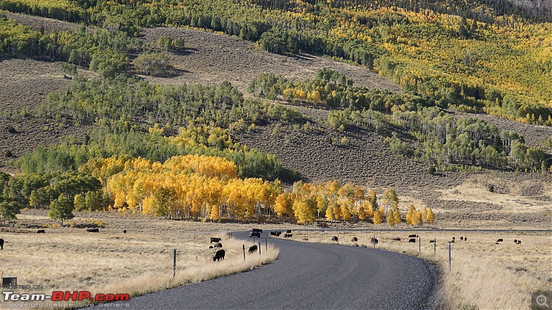 America, the beautiful : A 10,000 mile road-trip with my parents-dsc06402.jpg