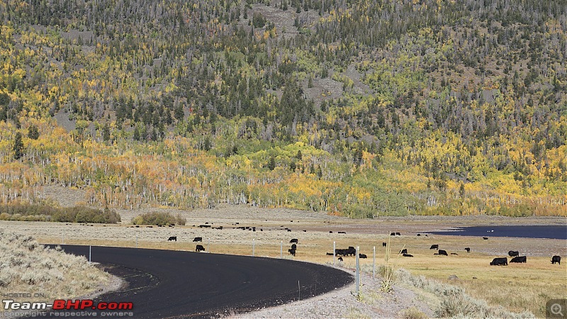 America, the beautiful : A 10,000 mile road-trip with my parents-dsc06456.jpg