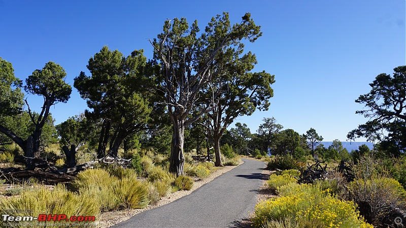 America, the beautiful : A 10,000 mile road-trip with my parents-dsc07042.jpg