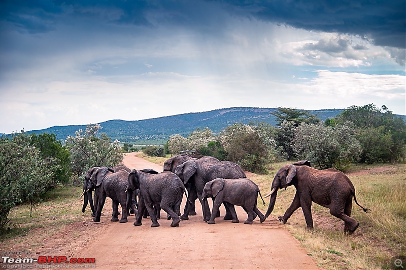 Wild Africa: Experiencing the Mecca of Wildlife Adventure-dsc_1415edit.jpg