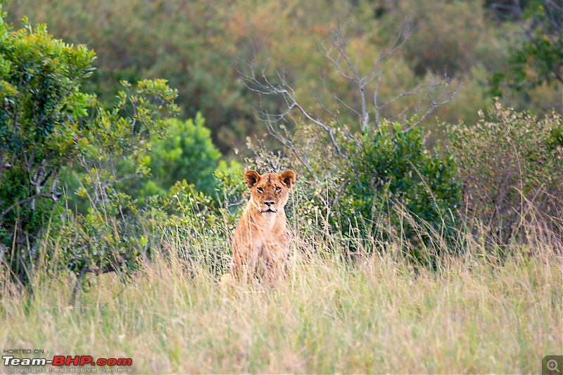 Wild Africa: Experiencing the Mecca of Wildlife Adventure-dsc_00531.jpg