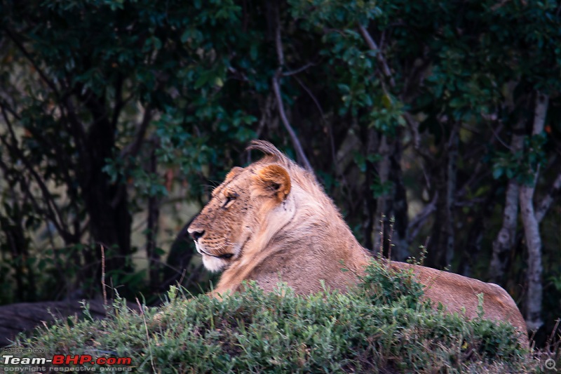 Wild Africa: Experiencing the Mecca of Wildlife Adventure-dsc_0030.jpg