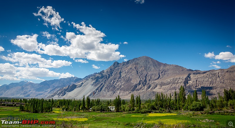 Ladakh in 24 Mega-Pixels-dsc_9939.jpg