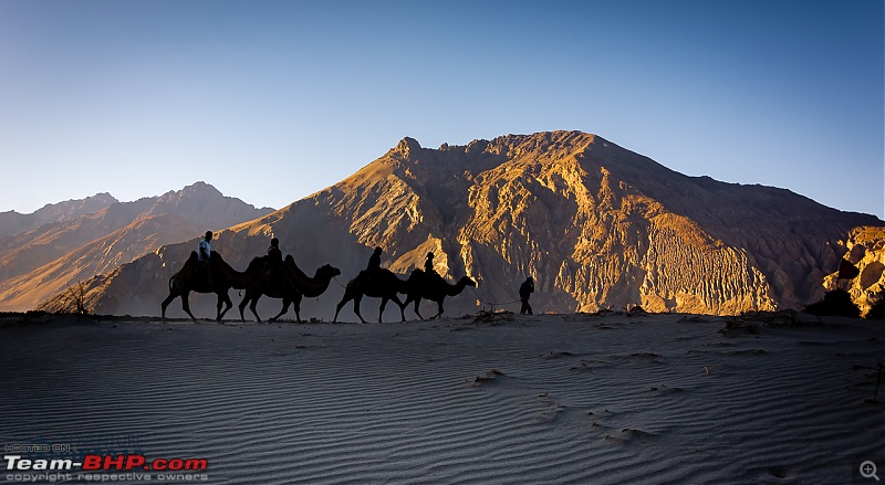 Ladakh in 24 Mega-Pixels-dsc_9970.jpg