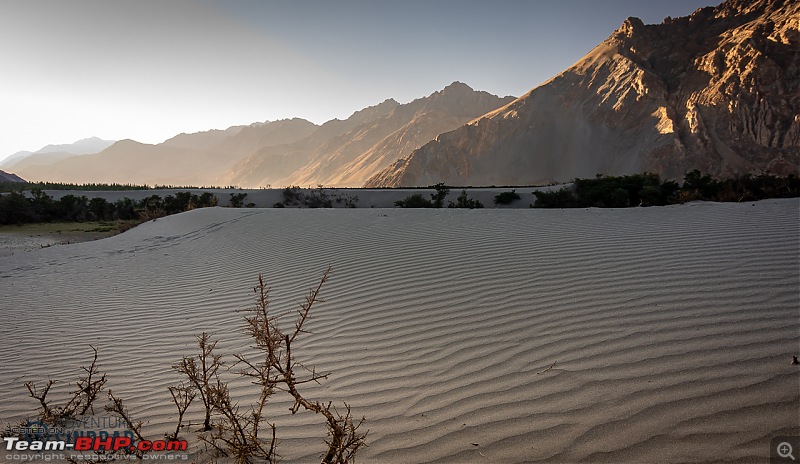 Ladakh in 24 Mega-Pixels-dsc_9993.jpg