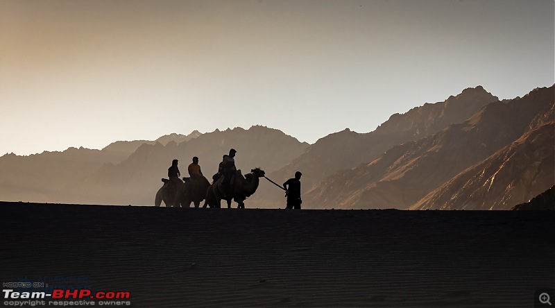 Ladakh in 24 Mega-Pixels-dsc_9437.jpg