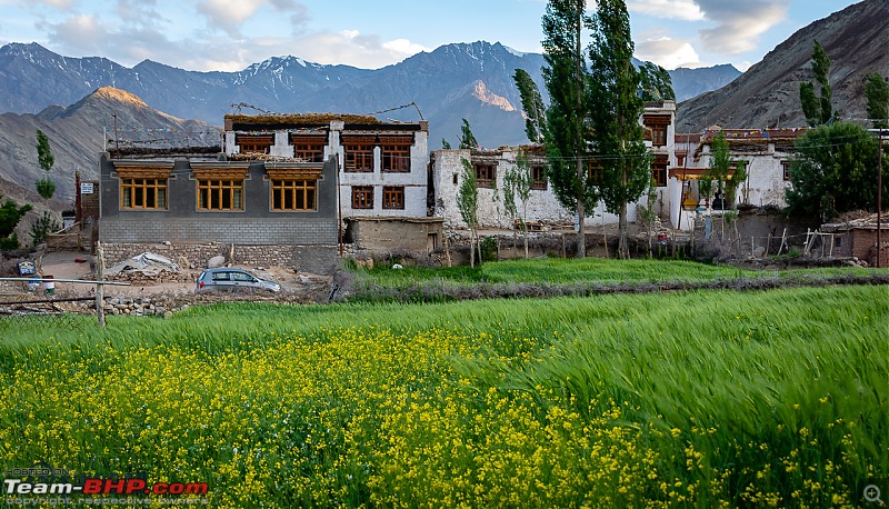 Ladakh in 24 Mega-Pixels-dsc_0315.jpg