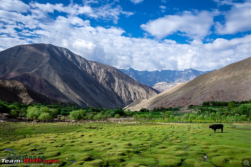 Ladakh in 24 Mega-Pixels-dsc_97301.jpg