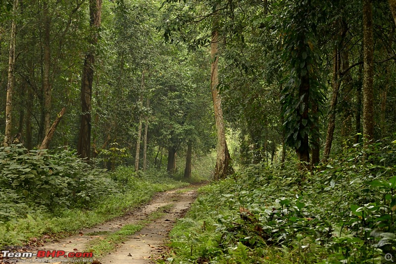 Getaways from Guwahati | Lakes, Tiger Reserve, Trek, Water Falls & more-dsc_0120.jpg