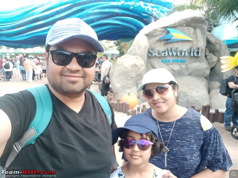 Every child's dream - Disneyland, Legoland & SeaWorld - The LA Sojourn!-seaworld.jpg