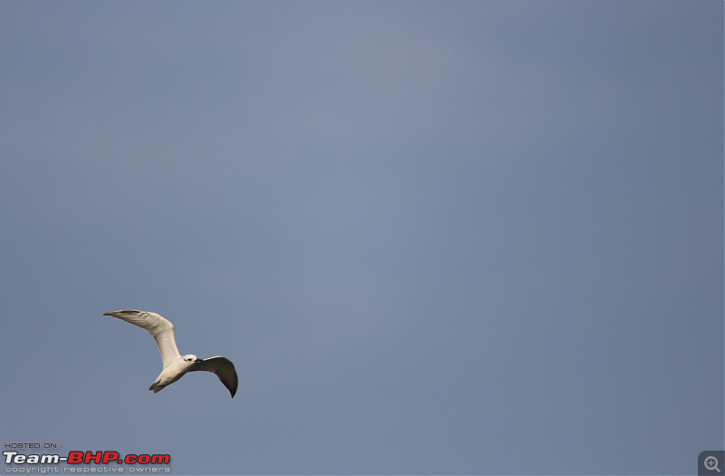 The Houseboat Experience : Alleppey Backwaters-screenshot-17.png