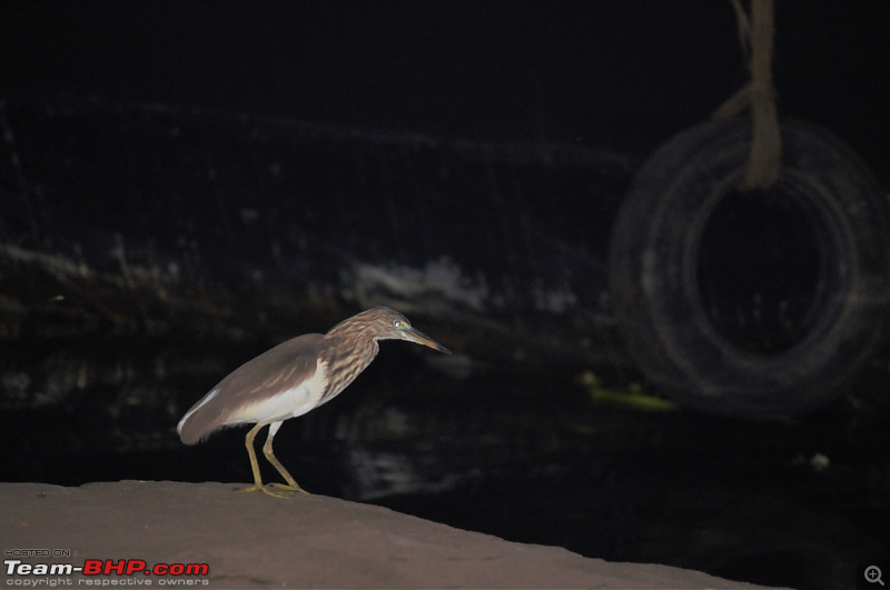 The Houseboat Experience : Alleppey Backwaters-screenshot-25.png