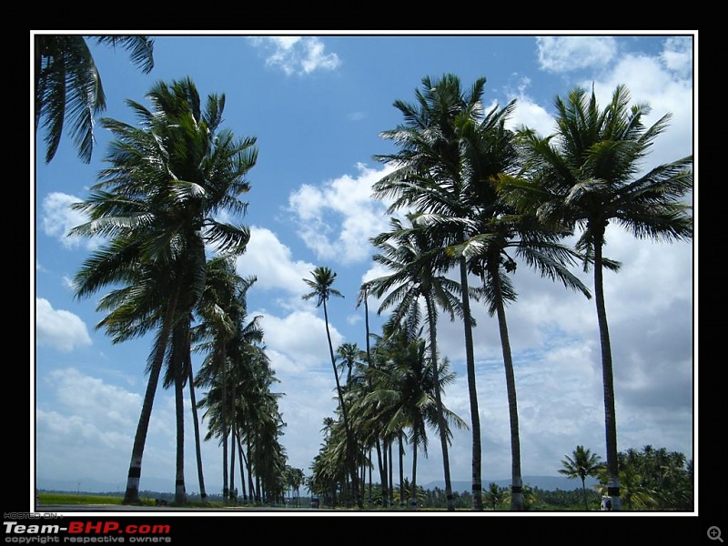 Travelogue : Scaling Vagamon and its heights-10-large.jpg