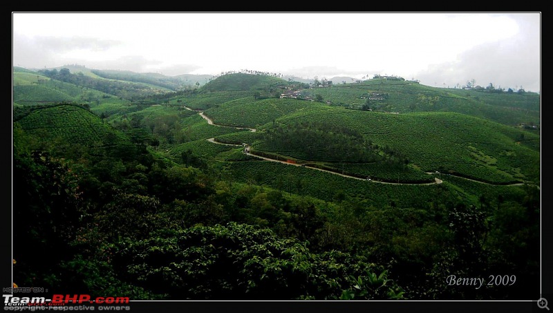 Ramakkalmedu - A Walk in the Clouds along with a tree house visit-pic.jpg