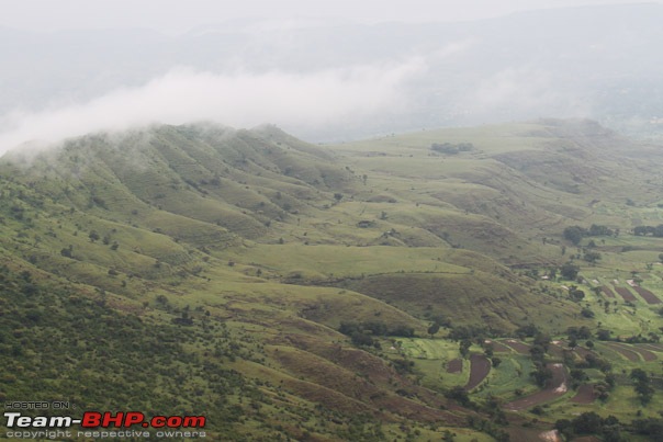 Kaas (Maharashtra) -The Plateau of flowers-img_3039.jpg