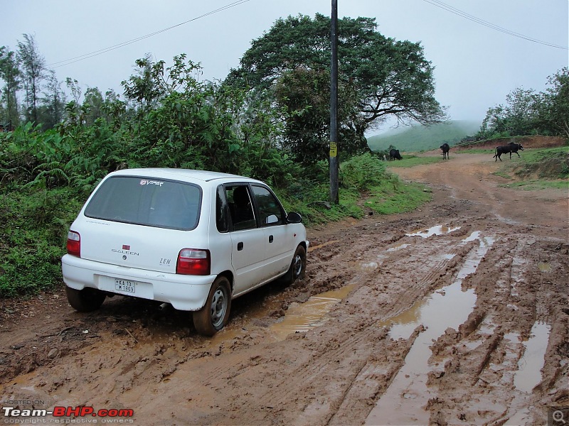 Unplanned weekend trips to Sringeri-Agumbe & Kaginahare-dsc00583.jpg