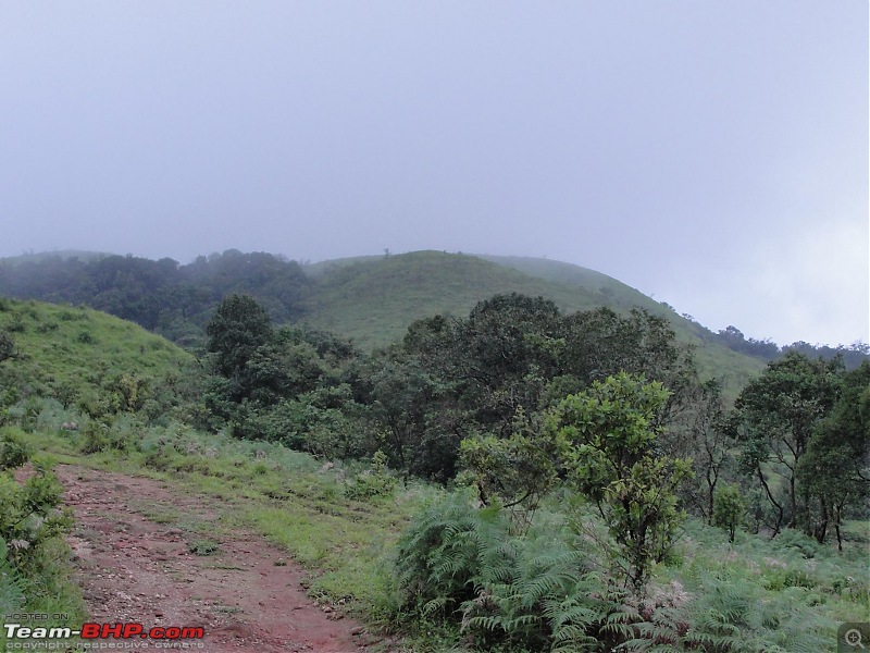 Unplanned weekend trips to Sringeri-Agumbe & Kaginahare-dsc00595.jpg