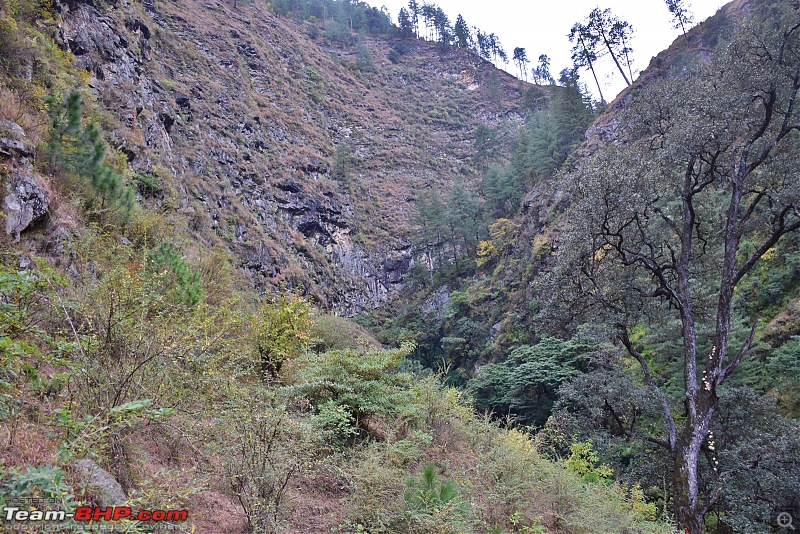 Weekend escapade to Tirthan Valley, Himachal-dsc_0196-copy.jpg