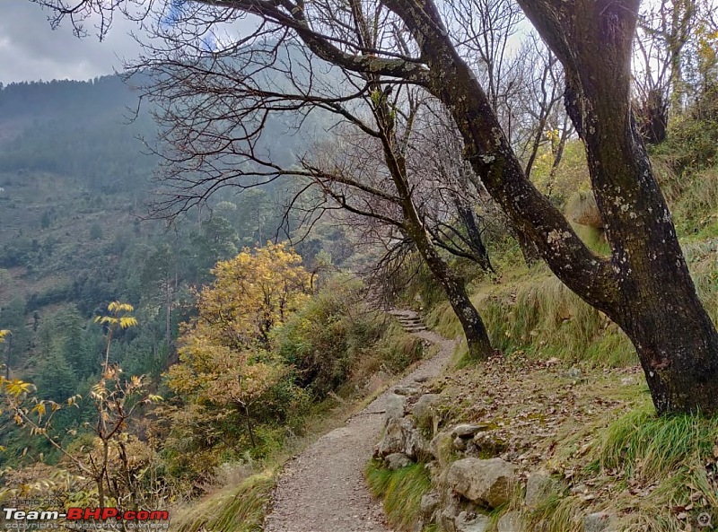 Weekend escapade to Tirthan Valley, Himachal-screenshot_2020090216150301.jpeg