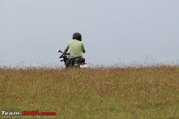 Kaas (Maharashtra) -The Plateau of flowers-img_3093.jpg