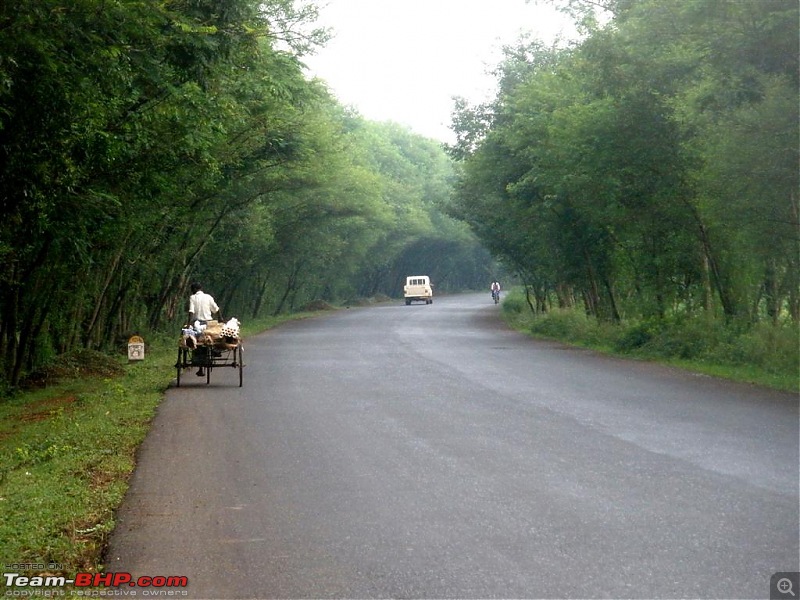 Kolkata-Siliguri-Mangalbaria-Ravangla-Geyzing-Siliguri-Kolkata-p9240004-large.jpg