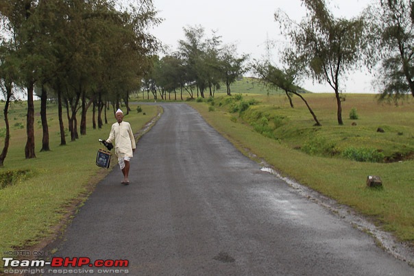 Kaas (Maharashtra) -The Plateau of flowers-img_3073.jpg