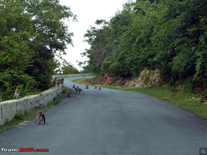'Xing'ing around ! - Kadapa, Pushpagiri, Gurramkonda & Horsley hills.-53.jpg