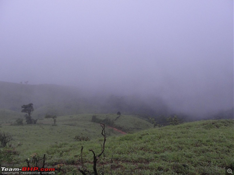 Unplanned weekend trips to Sringeri-Agumbe & Kaginahare-dsc00614.jpg