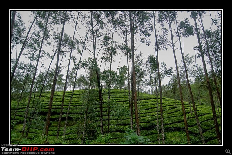 Travelogue : Scaling Vagamon and its heights-6_1-large.jpg