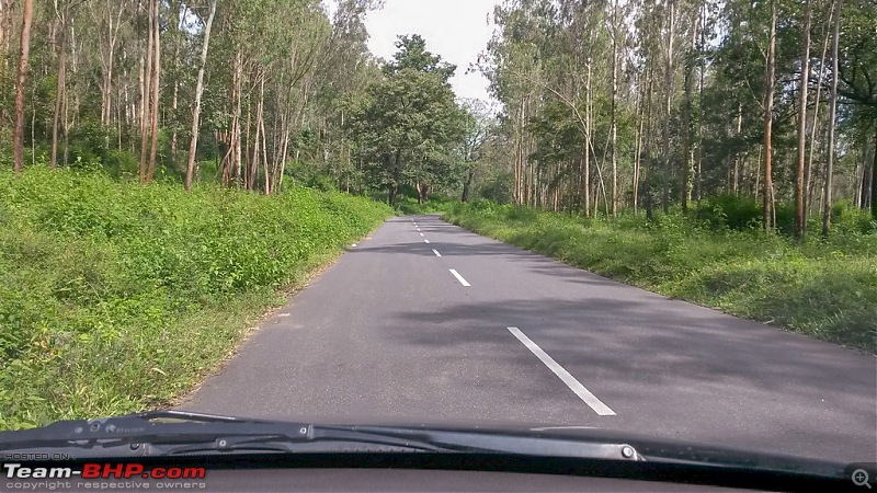 Through Mysuru and Thirunelly Temple - A circuitous BLR-TVM drive-125_edited.jpg