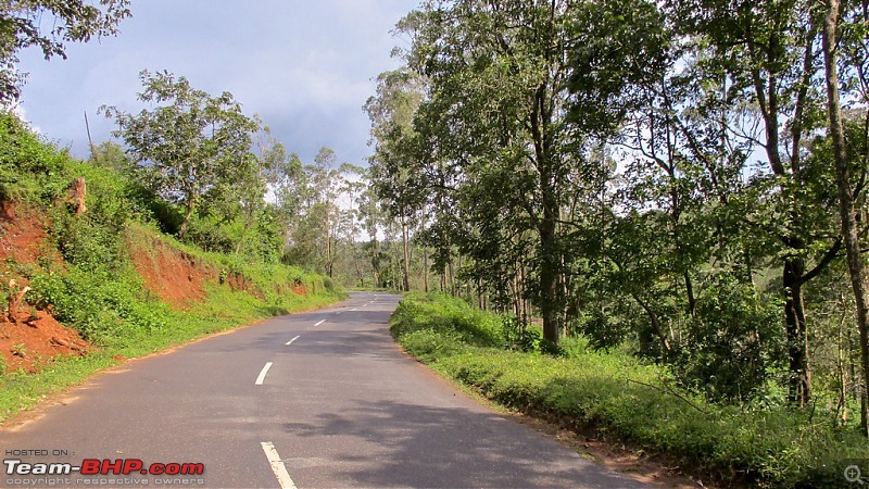 Through Mysuru and Thirunelly Temple - A circuitous BLR-TVM drive-129_edited.jpg