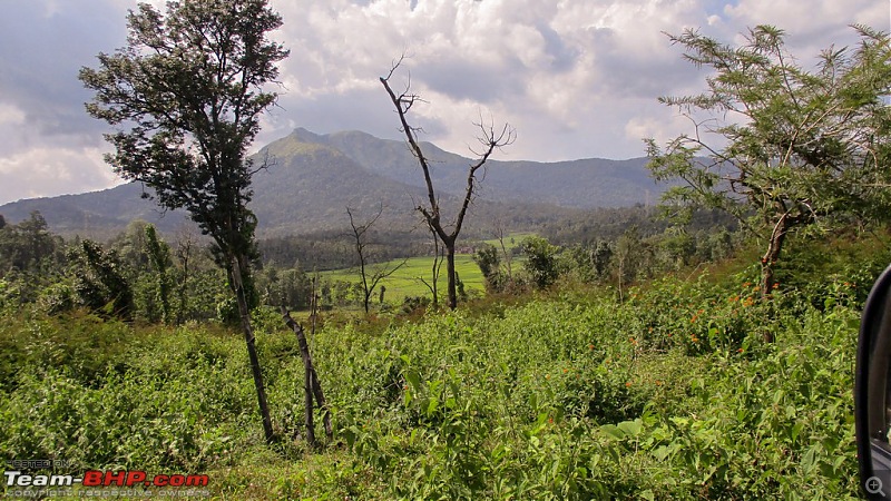 Through Mysuru and Thirunelly Temple - A circuitous BLR-TVM drive-131_edited.jpg