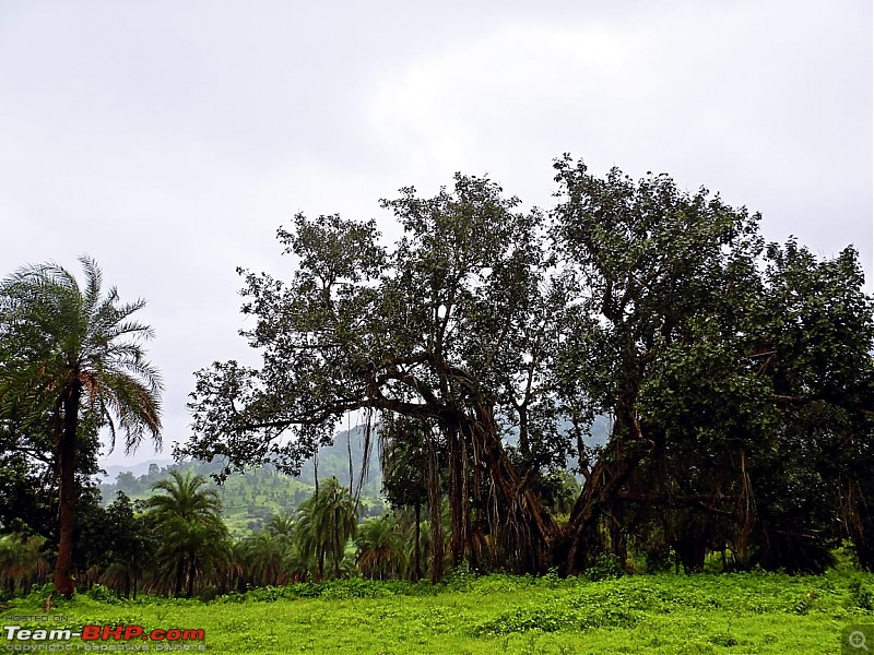 Magnificent Maharashtra - The Mahalog!-img20200914wa0031.jpg