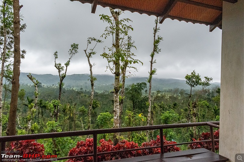 Chikmagalur: Driving through Coffee Country, with the windows down-dsc_0381.jpg