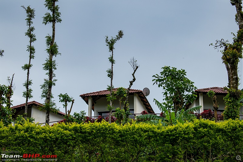 Chikmagalur: Driving through Coffee Country, with the windows down-dsc_0431.jpg